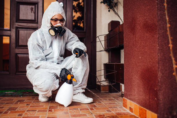 Reliable Bed Bug Control contractor in Eastport, ME by Nex Pest Control