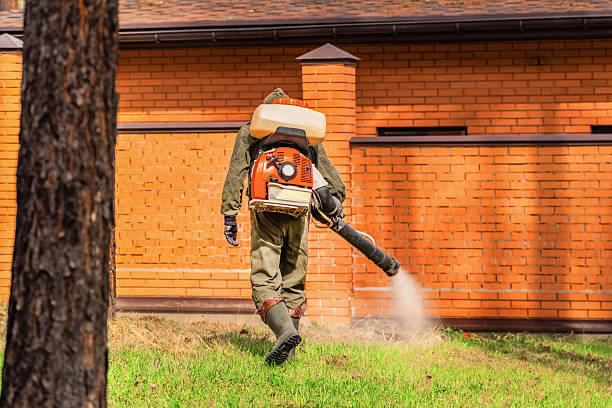 Trusted Emergency Pest Control service in Eastport, ME - Nex Pest Control